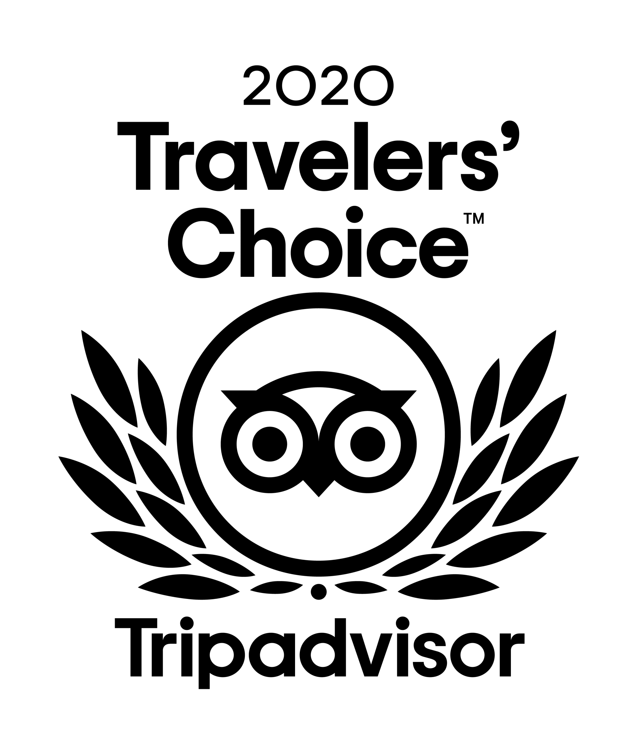 TripAdvisor 2020 Travelers' Choice logo