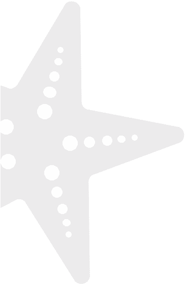 starfish