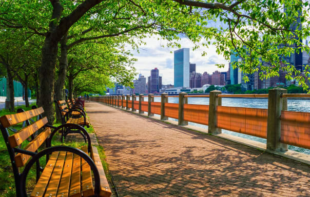 Bench