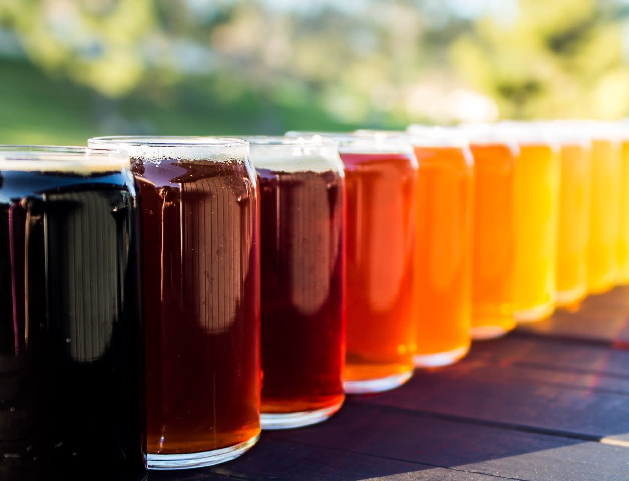 san diego hop highway