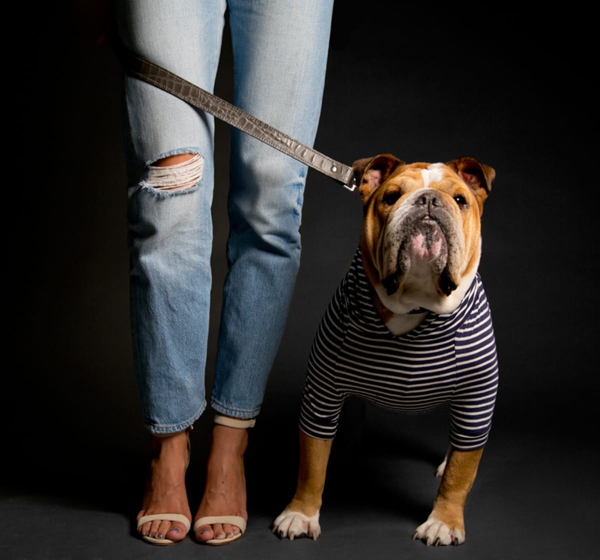Max-Bone - 15% off