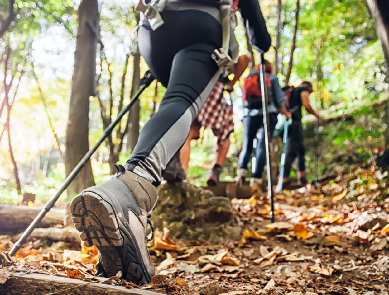 Friends Hiking