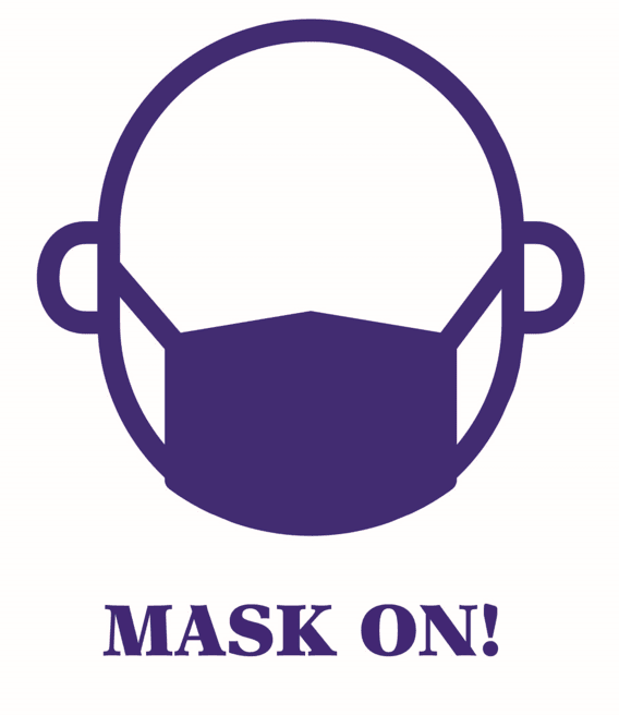 Face Mask