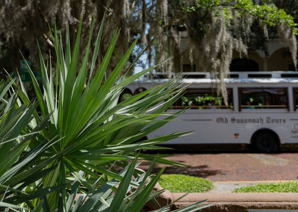 Next Stop Savannah