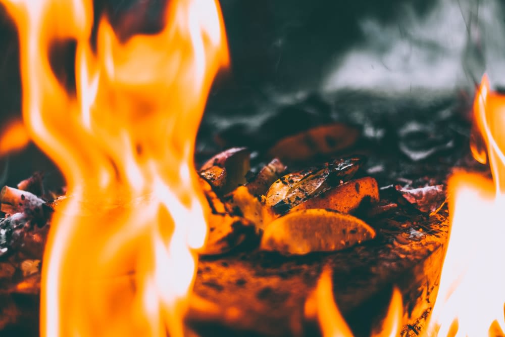 Life, Liberty and the Pursuit of BBQ