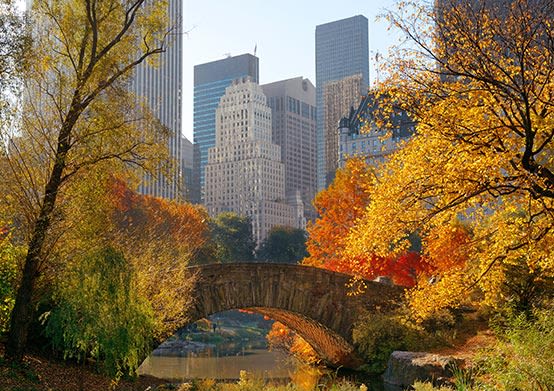 CENTRAL PARK