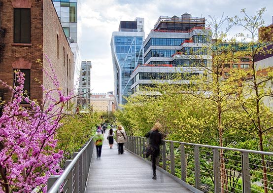 THE HIGH LINE
