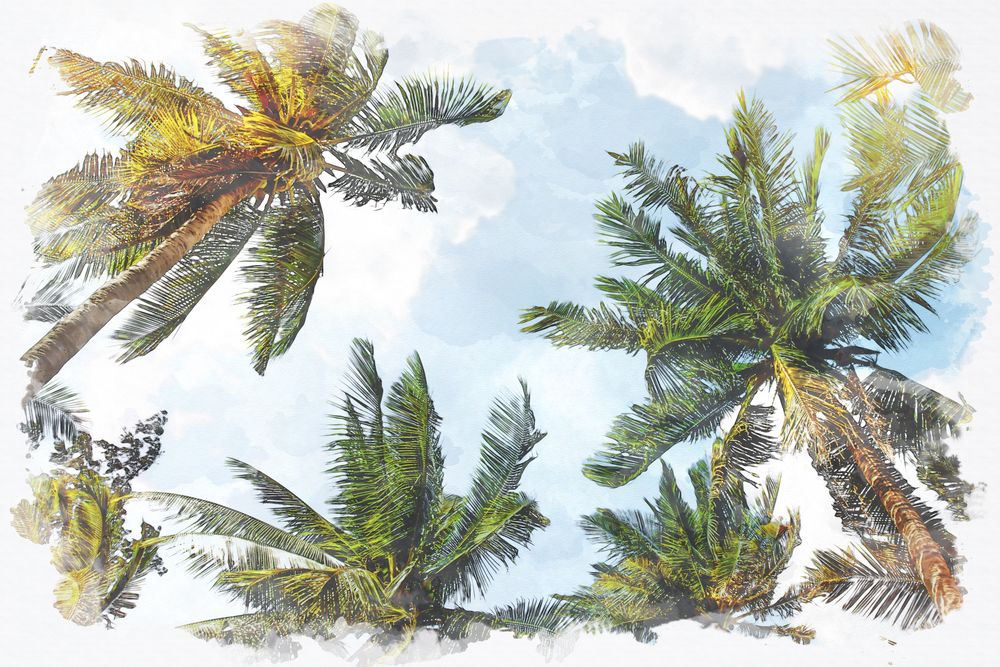 Upcoming Art Exhibitions in Key West We're Looking Forward To Upcoming Art Exhibitions in Key West We're Looking Forward To