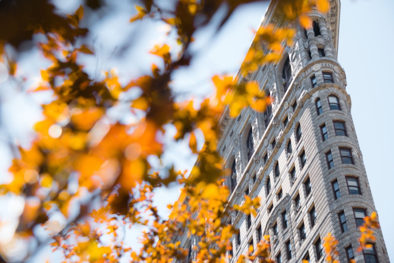 Where to See Fall Foliage in the City