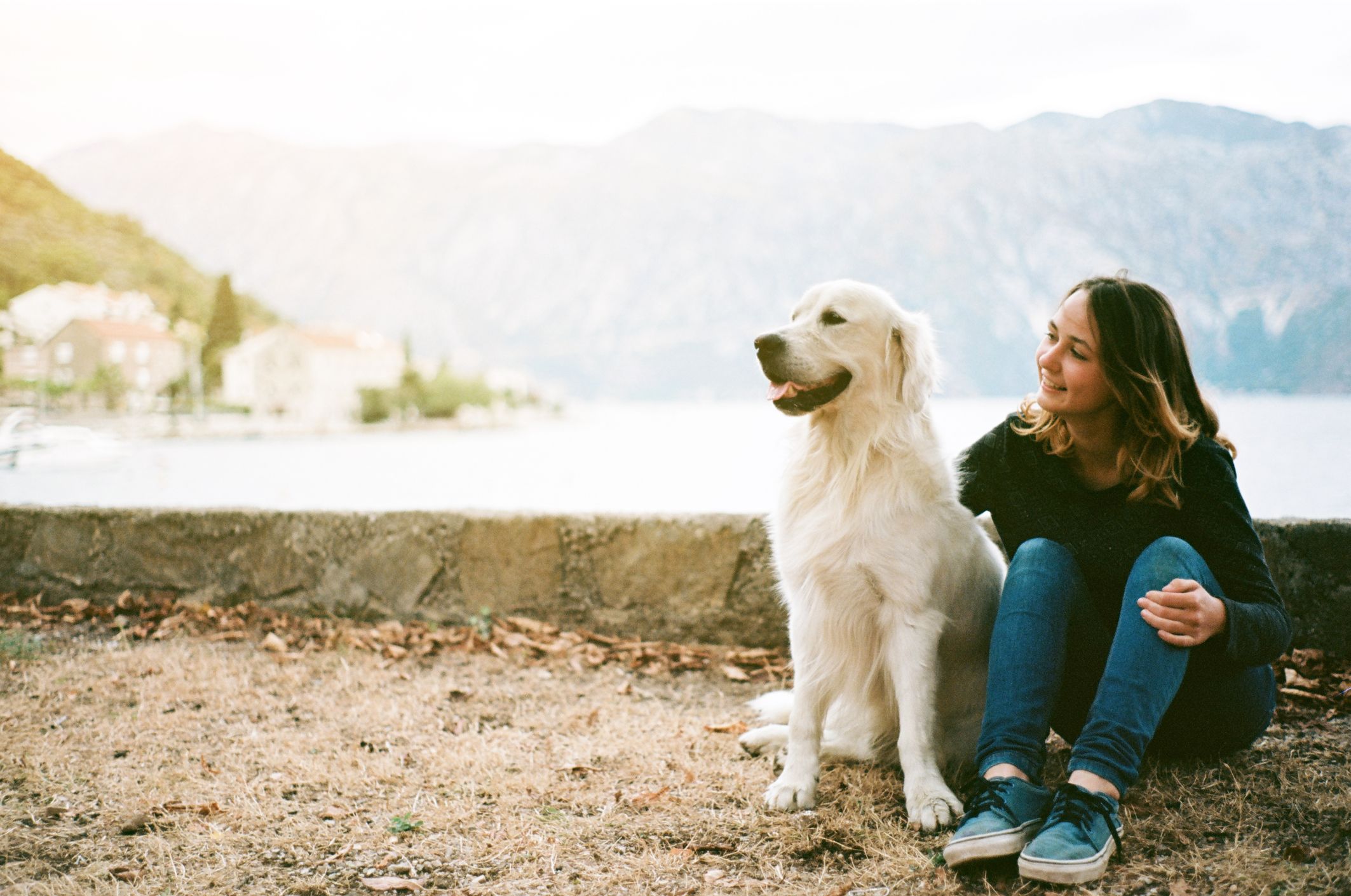 Bayside Barker Pet Package