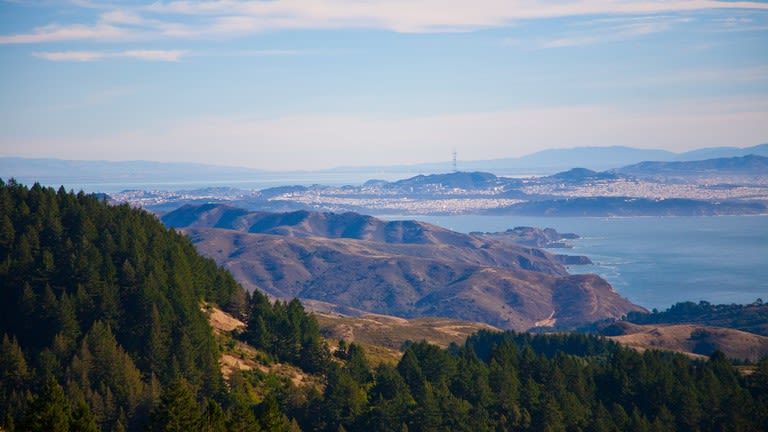 Mount Tamalpais State Park