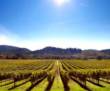 Sonoma