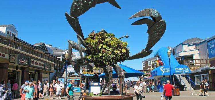 Pier 39