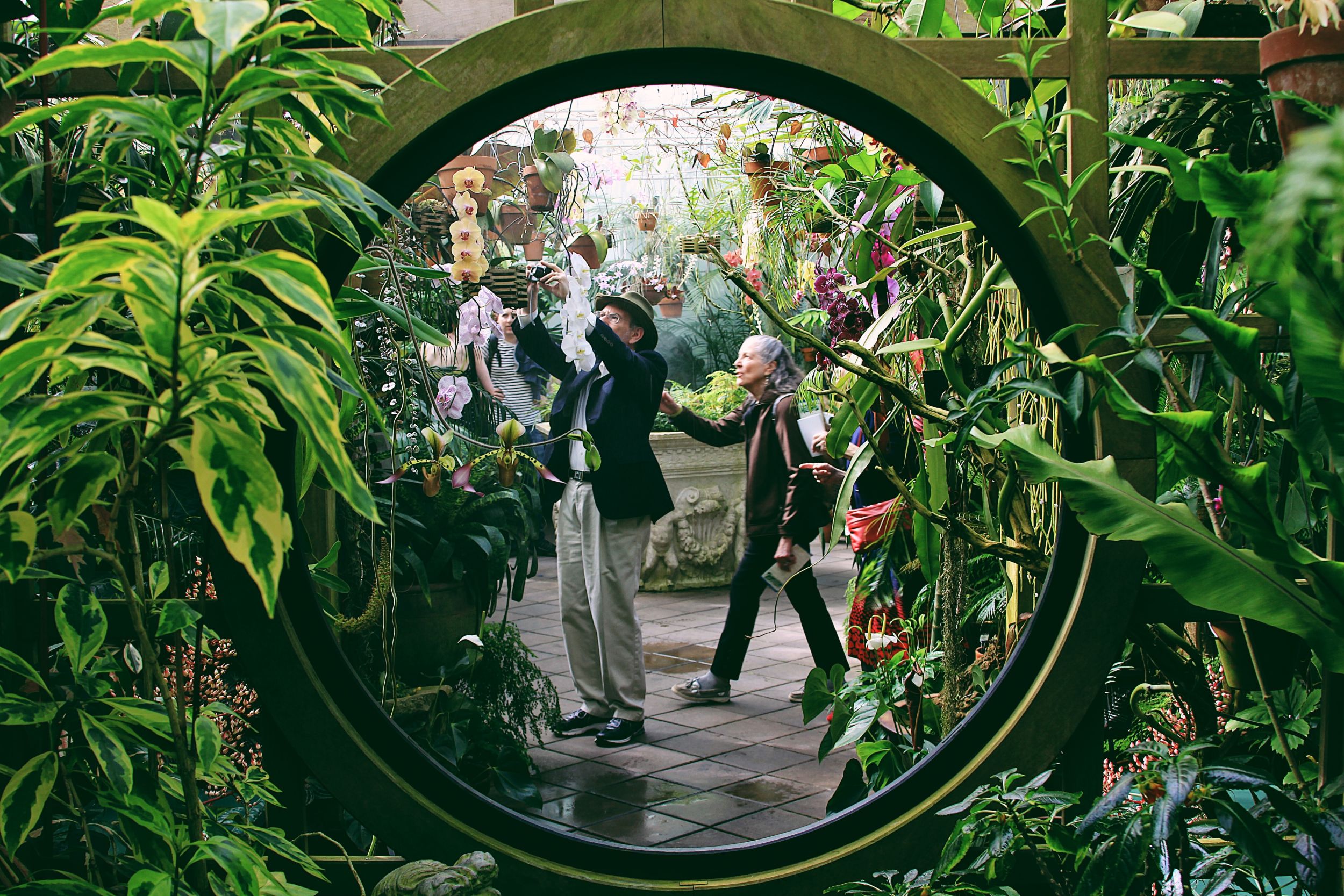 Our Favorite Indoor Gardens
