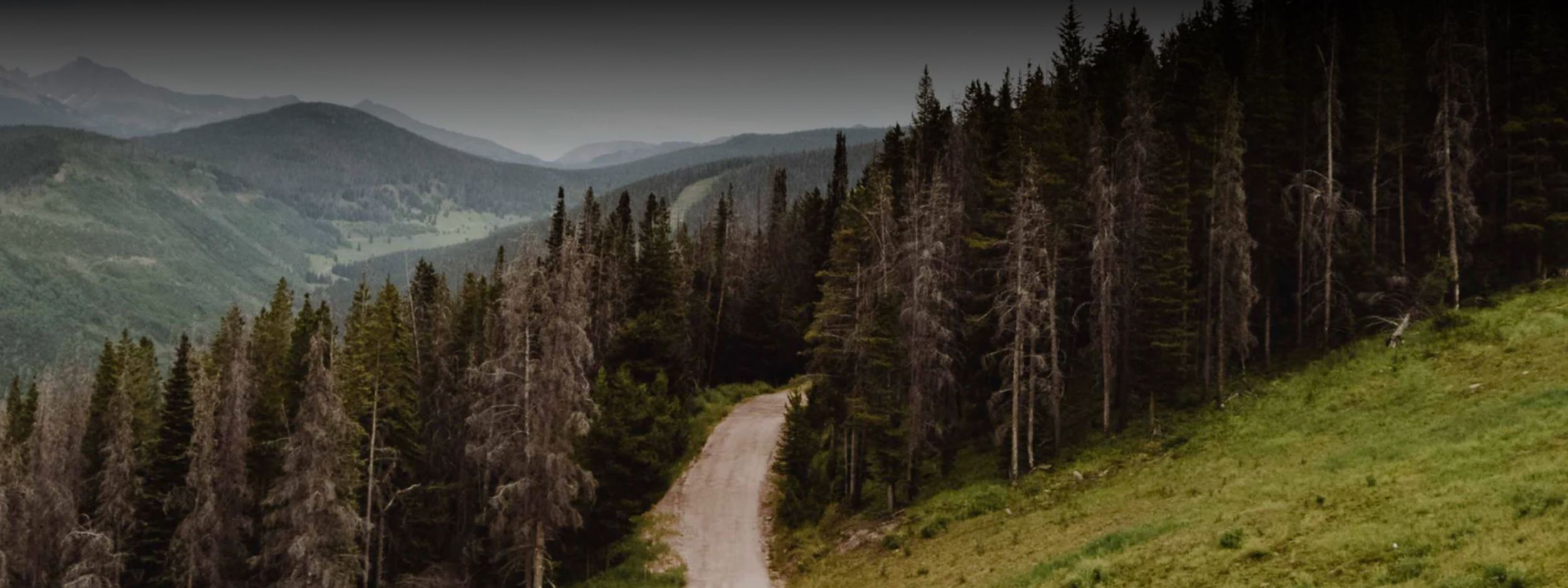 Colorado Mountain Trail