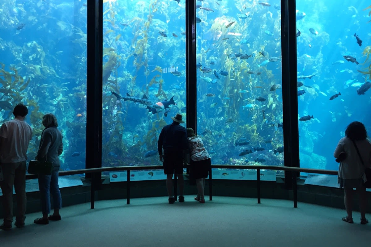 Monterey Bay Aquarium