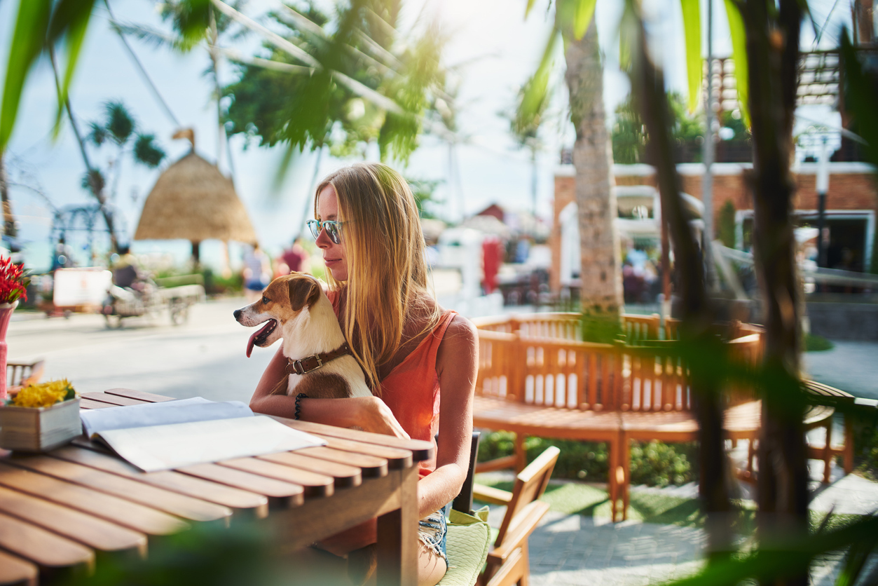 Our Favorite Dog-Friendly Restaurants Our Favorite Dog-Friendly Restaurants