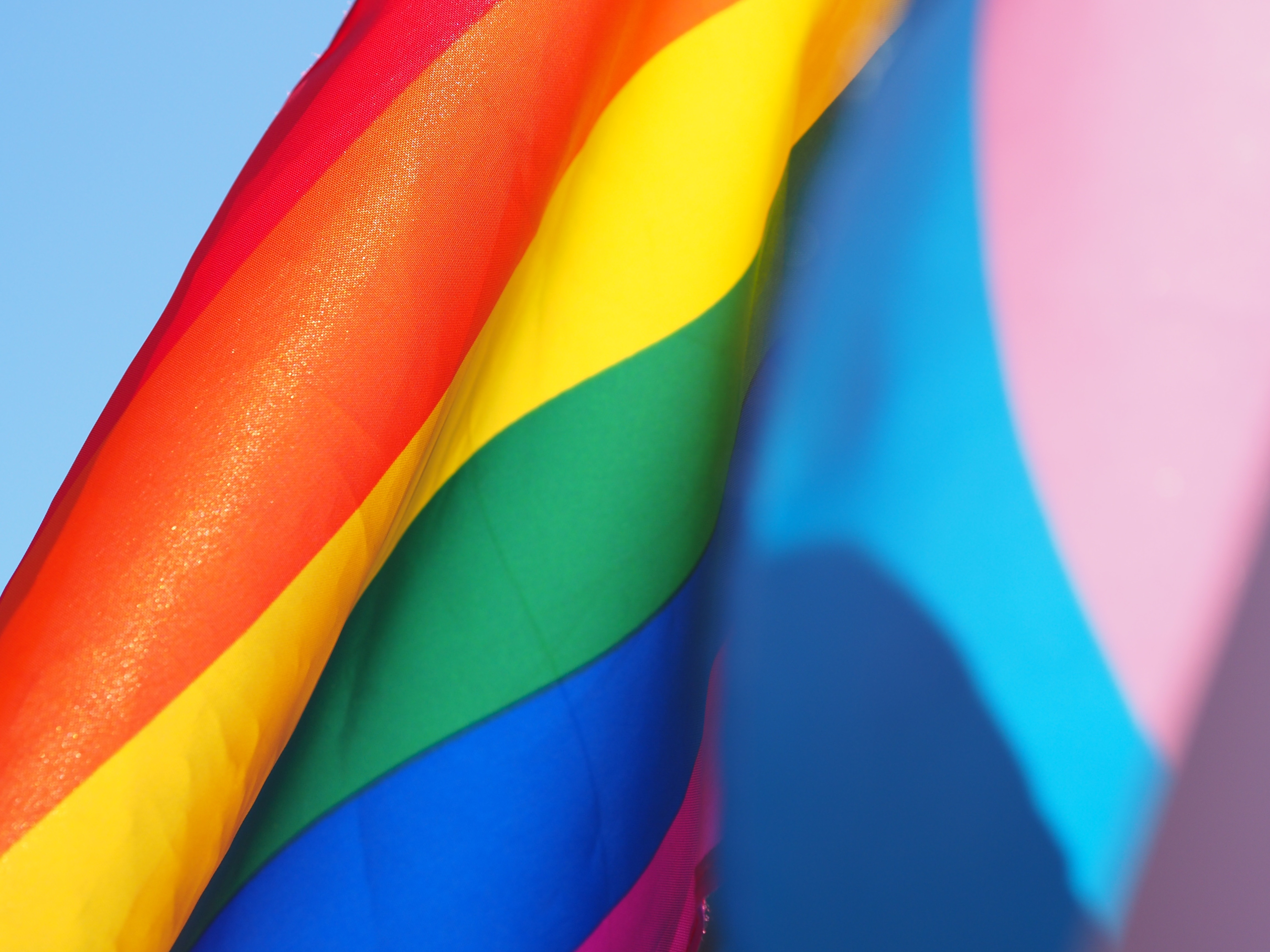 My Favorite Pride