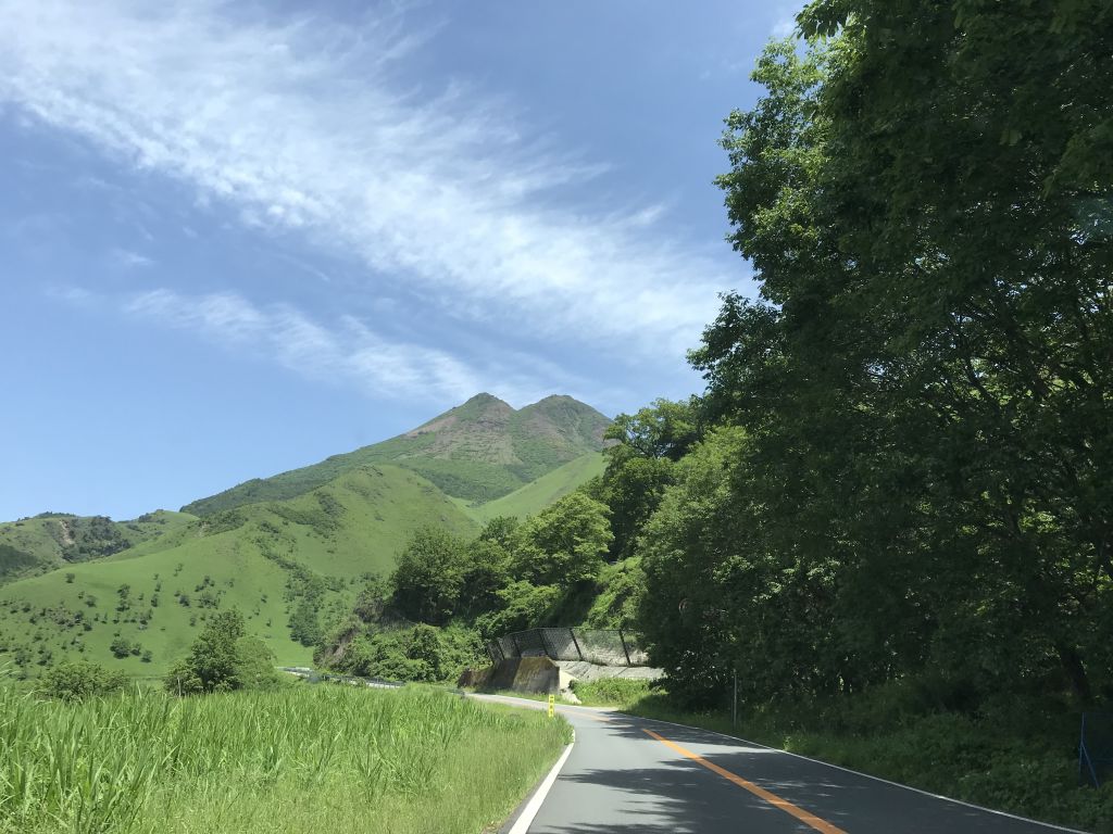 캠핑장 찾아가는 길. 초록초록, 푸름푸름