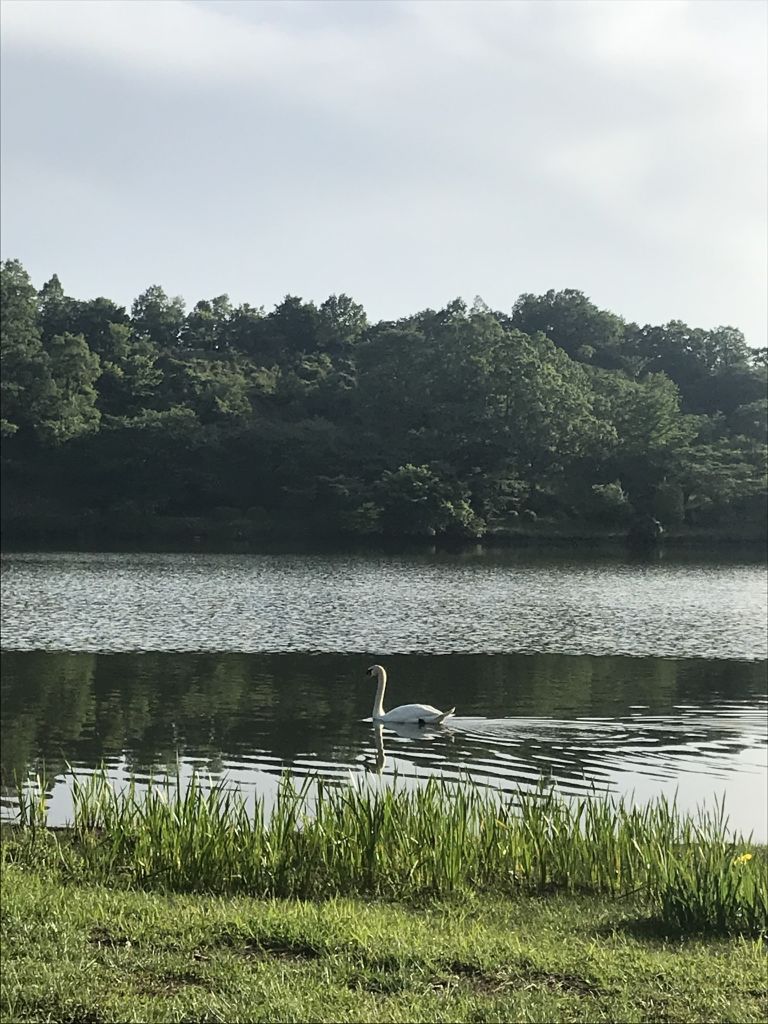 보기좋다~ 가까이 오지는 마...(엄청 컸다)