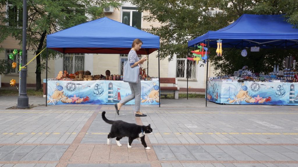 현지인과 현지묘(?)의 절묘한 워킹