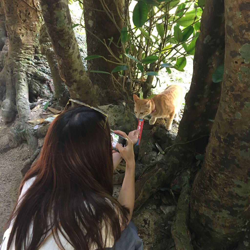 간식 조공으로 친해지기를 시도해 봤어요.