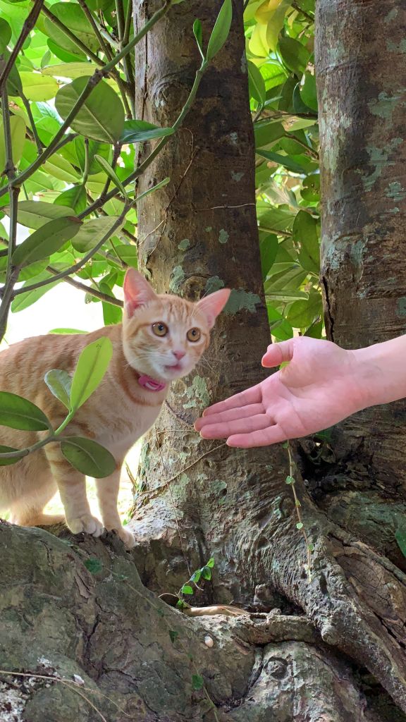이제 간식 끝! 우리는 갈게. 놀아줘서 고마웠어-