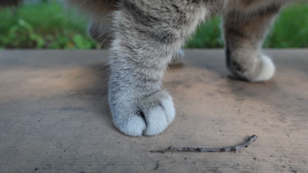 미니캔 맛있게 먹고, 안녕~
