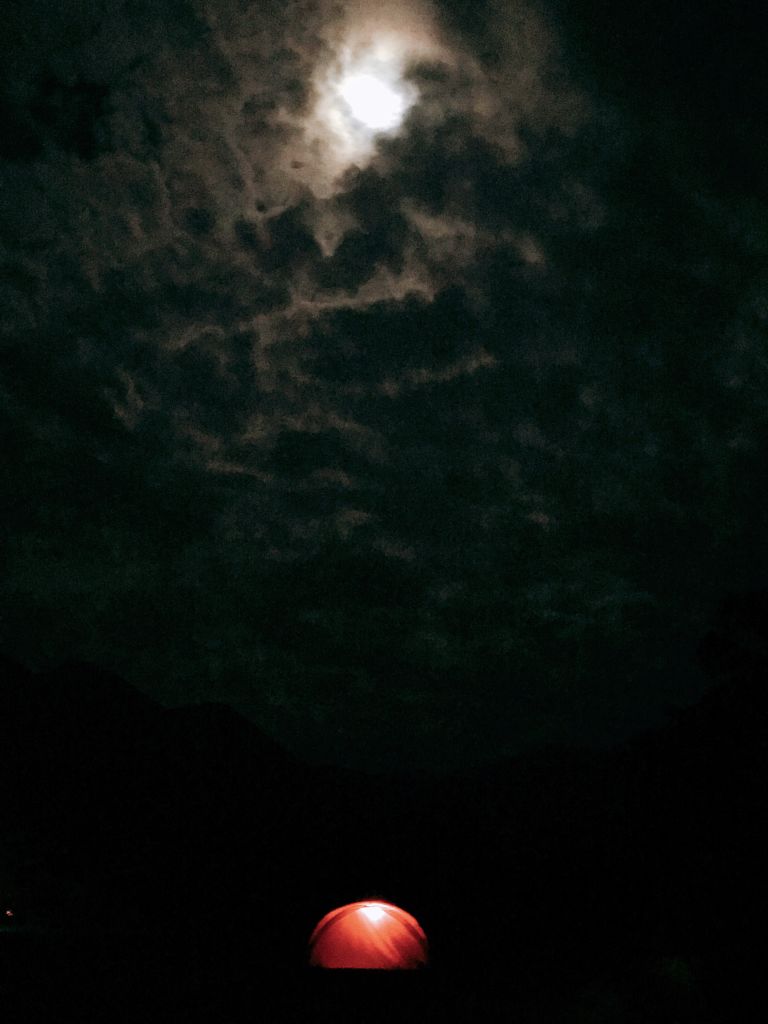 별은 헤지 못했다.. 구름이..구름이..(비 구름이었다.)