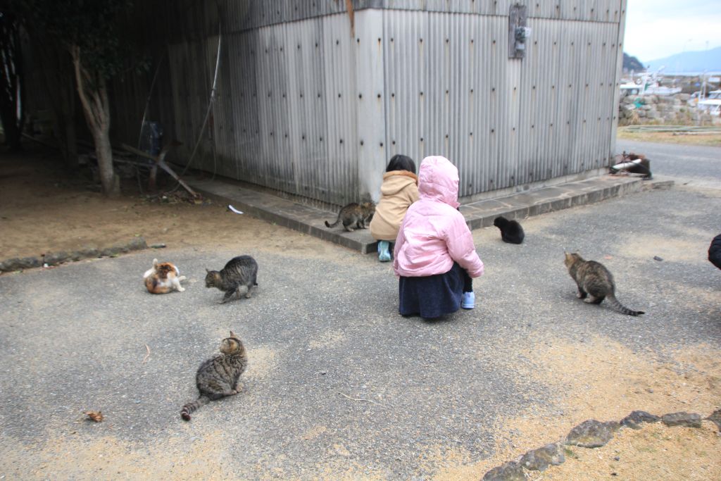 아이들이 고양이들과 놀고 있는 모습
