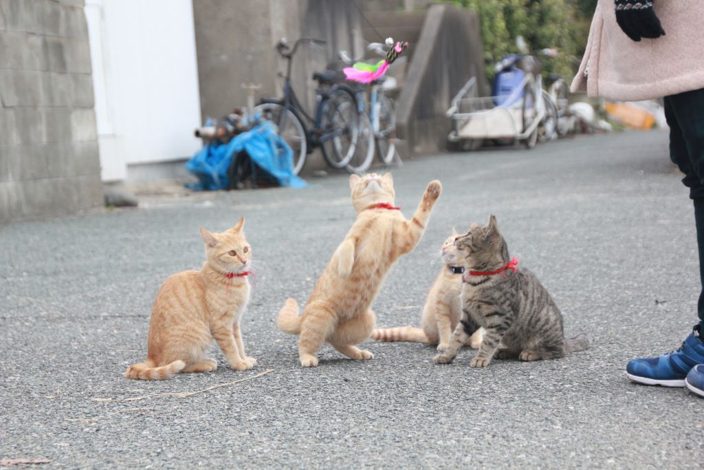 내 펀치도 받아랏!