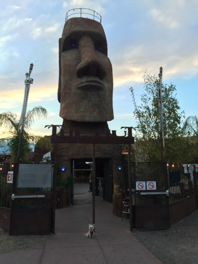 Travel blog image for April 4, 2016 in Tucson, AZ