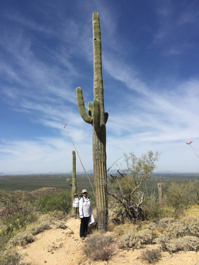 Travel blog image for April 5, 2016 in Sugaro National Park, AZ