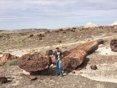 Travel blog image for April 7, 2016 in Petrified Forest National Park, AZ