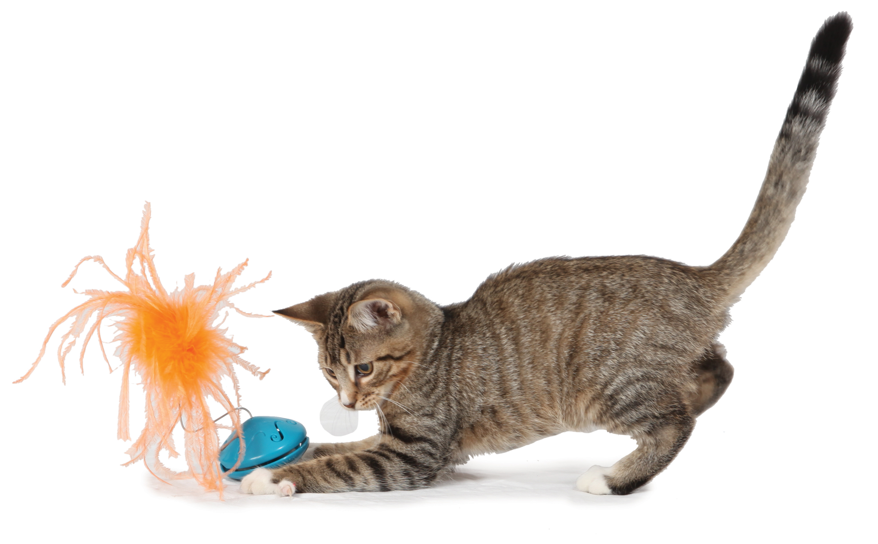 fun-kitty-twistn-treat-lifestyle01
