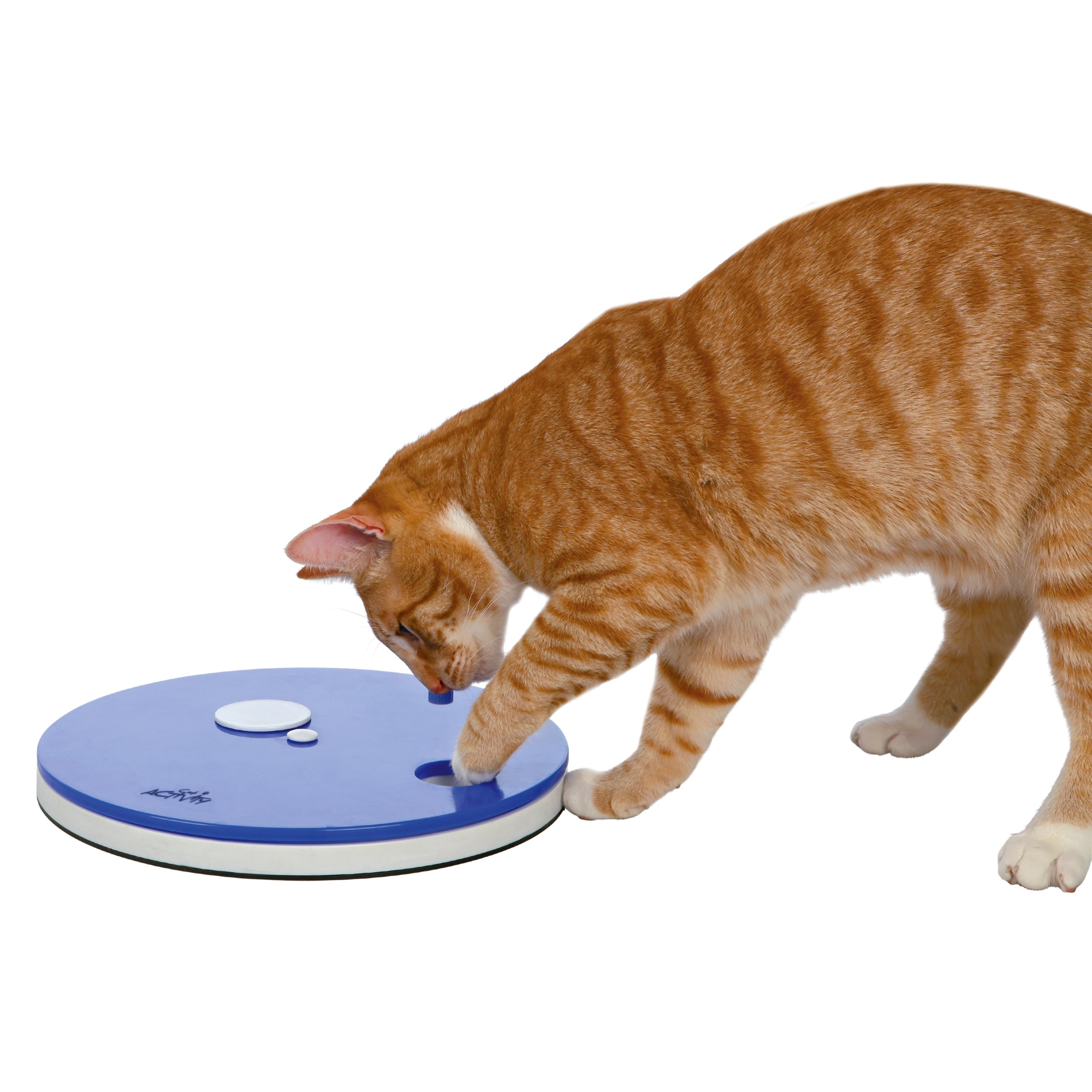 roulette-cat-actiivity-avec-chat