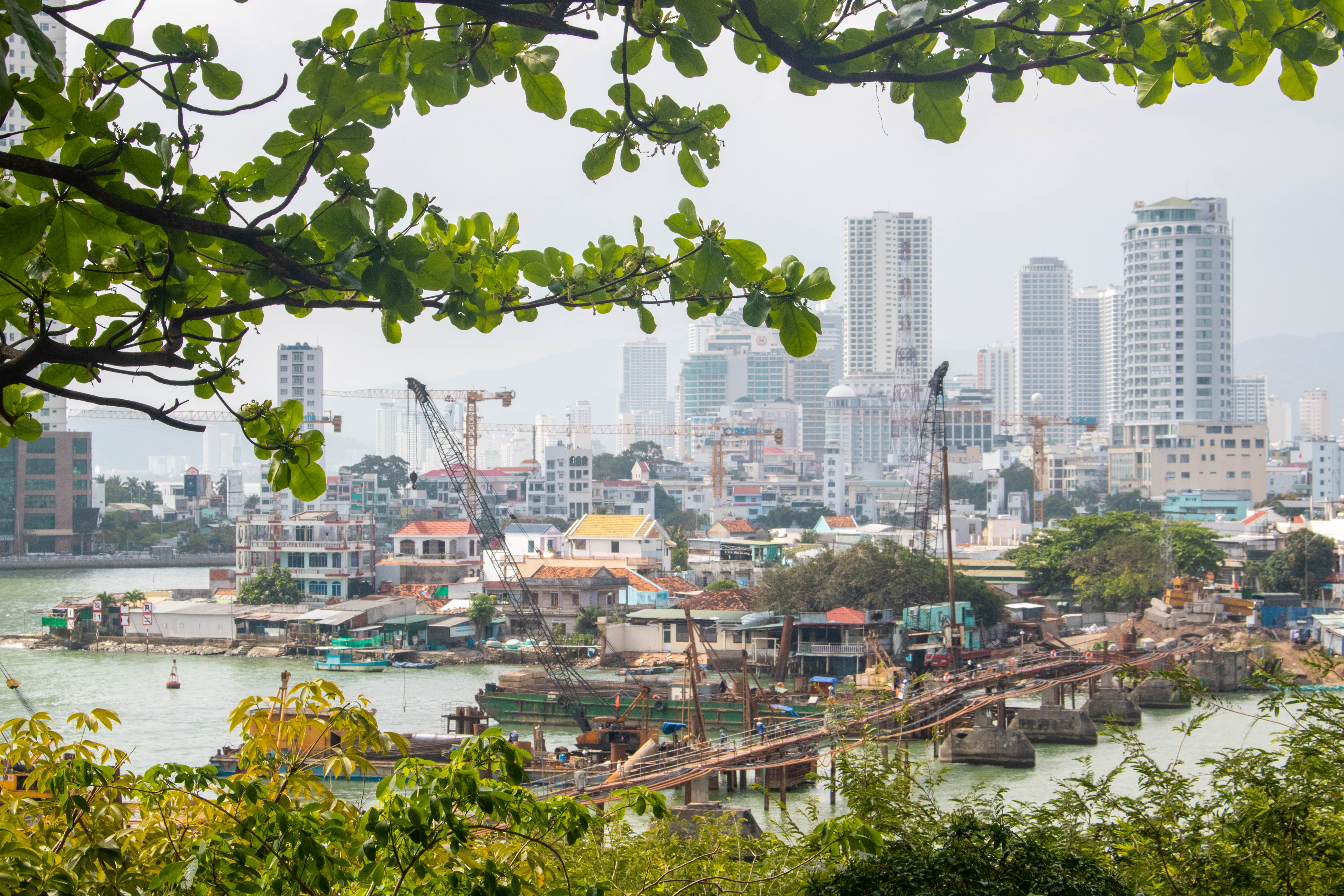 _MG_7805_sh4yen