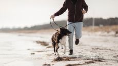 twd-essentials-blog-placeholder-1