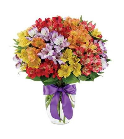 Jersey City Florist Flower Delivery By Bouquets Baskets Pick Me Up Florist In Mount Laurel Flower Delivery Bright Pink And Lavender Followers Compactly Designed