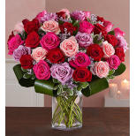 Lavish Love Bouquet 50 Roses - Send to Elkton, MD Today!