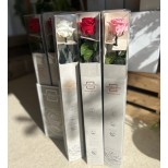 Send Forever Rose in Halifax, NS - Flower Trends Florists