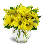 Sunshine Daisy Rose Bouquet™ - Send to Moline, IL Today!