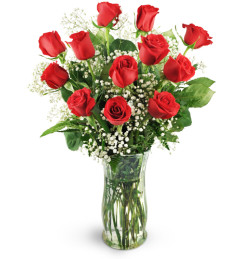 Classic Red Roses