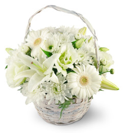 Serenity Basket