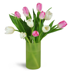 Spring Breezes Tulip Bouquet™