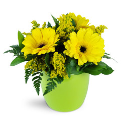 Morning Sunbeam Daisy Vase™