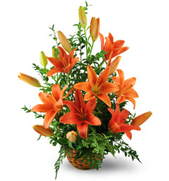 Asiatic Lily Basket