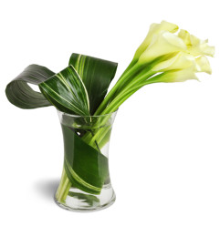 Classic Elegance Calla Vase™