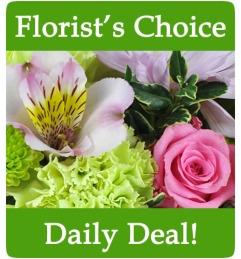 Florist's Choice Daily Deal