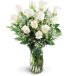 Dozen White Roses